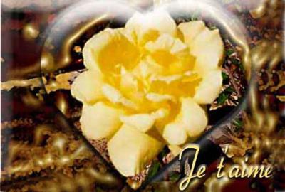pour toi