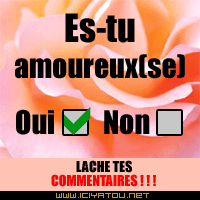 es-tu amoureux (se)